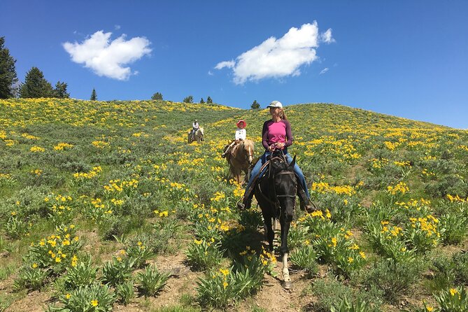 Jackson Hole Horseback Riding in Bridger Teton National Forest - What the two-hour route includes