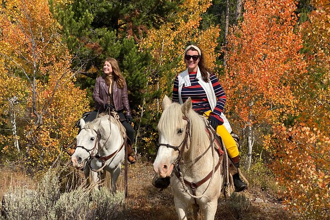 Jackson Hole Horseback Riding in Bridger Teton National Forest - Why a small group makes a difference