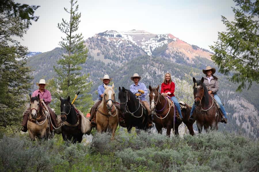 Jackson Hole: Teton View Guided Horseback Ride with Lunch - Key details that shape the ride
