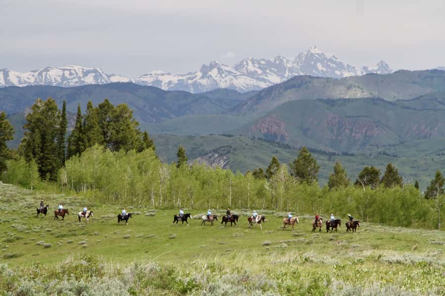 Jackson Hole: Teton View Guided Horseback Ride with Lunch - Starting at Willow Creek Horseback Rides