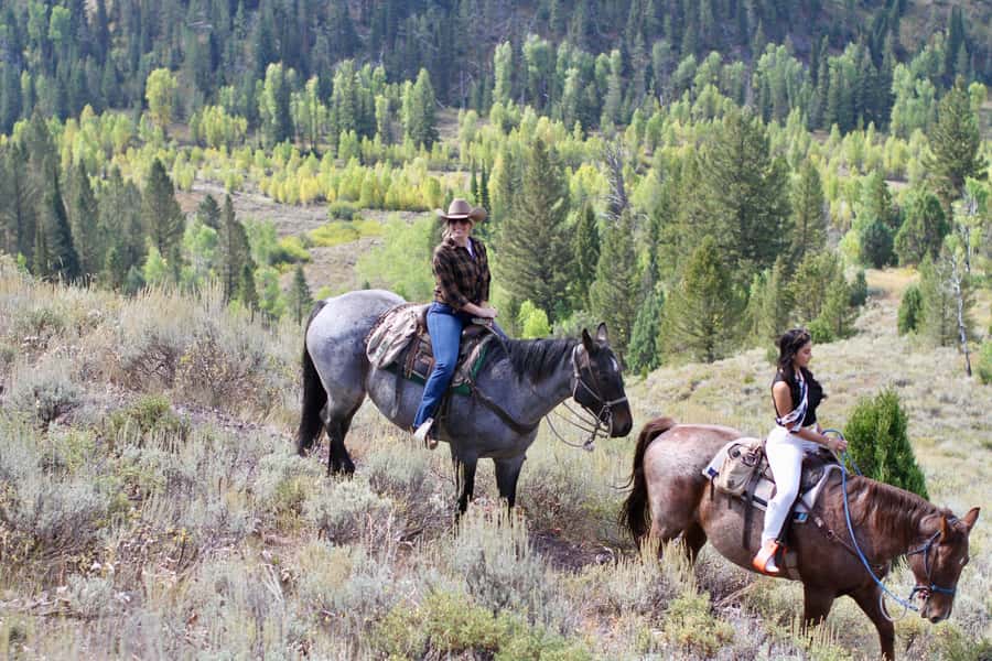 Jackson Hole: Teton View Guided Horseback Ride with Lunch - Returning along Ann’s Ridge Loop