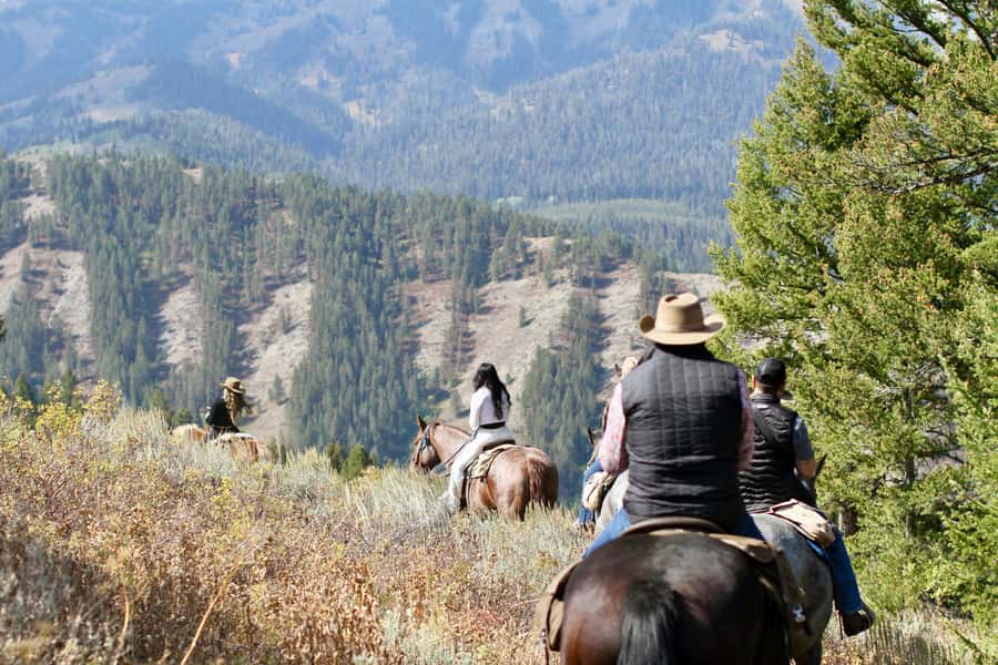 Jackson Hole: Teton View Guided Horseback Ride with Lunch - Who will enjoy this ride most