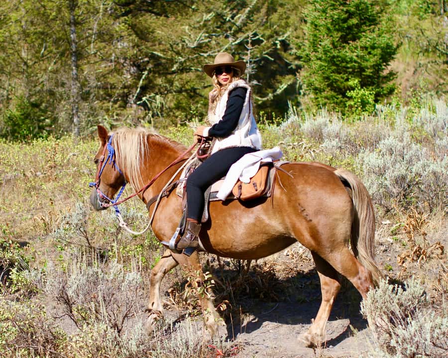 Jackson Hole: Teton View Guided Horseback Ride with Lunch - Should you book the Willow Creek ride?