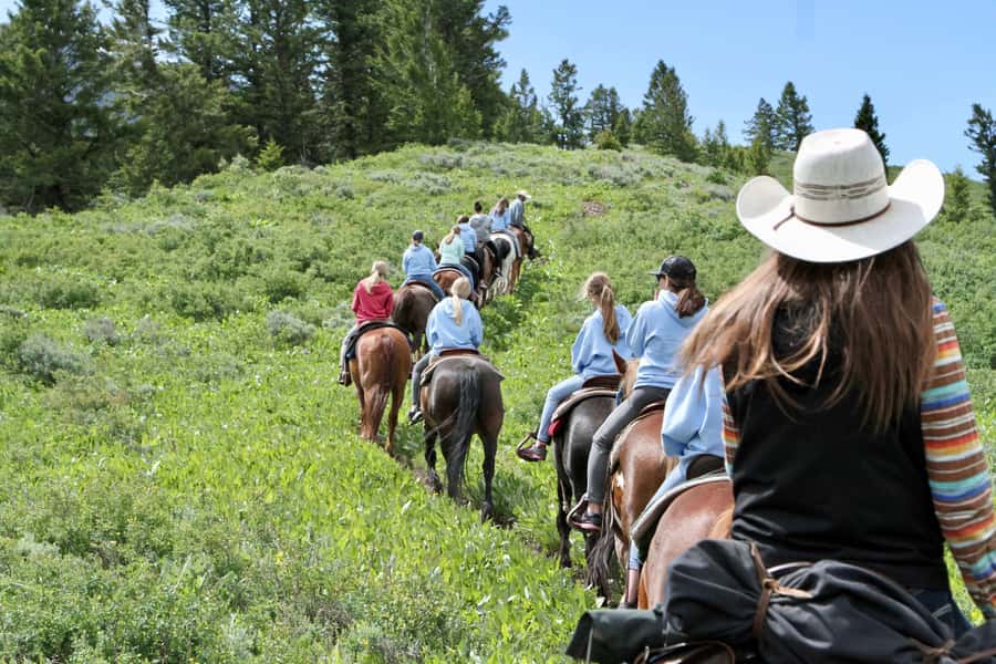 Jackson Hole: Teton View Guided Horseback Ride with Lunch - Climbing toward Ann’s Pond