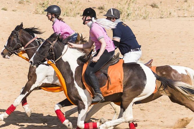 Jaipur Horse Riding Adventure - Meeting Marwari horses outside Jaipur