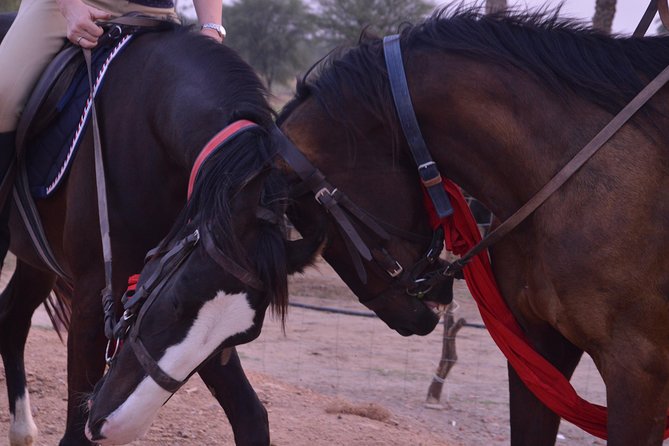 Jaipur Horse Riding Adventure - The first ride through pastoral paths