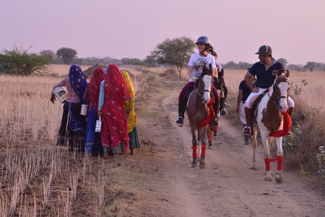 Jaipur Horse Riding Adventure - Service and personal touches