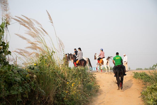 Jaipur Horse Riding Adventure - Why the 6:30 am start works