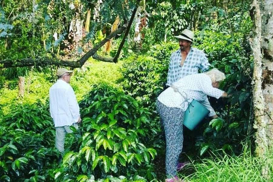 Jardín: Horseback Ride with Coffee Villa and Waterfall - Riding the cable car above the mountains