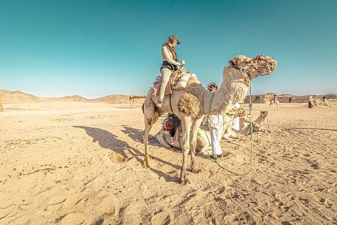 Jeep Cruise Stargazing with Horse Riding & BBQ Dinner - Hurghada - Who should book this Hurghada desert evening