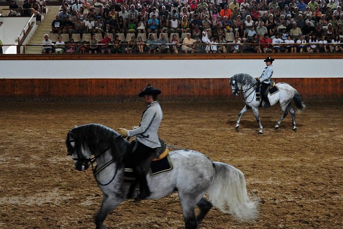 Jerez and Cadiz with Horse Ballet and Sherry Tasting from Seville - The Royal Andalusian School puts horses on stage