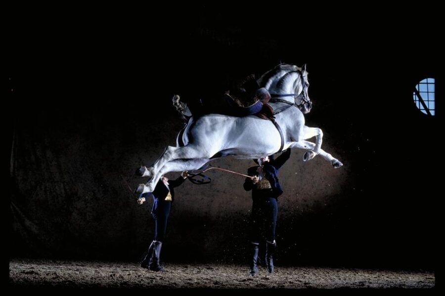 Jerez de la Frontera: Andalusian Horse Dance and Museums - Why the Andalusian horse show feels different