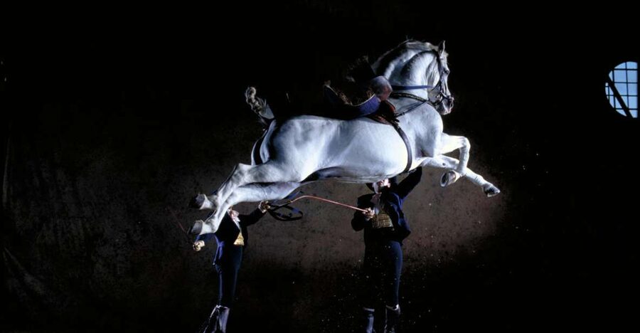 Jerez de la Frontera: Andalusian Horse Dance and Museums - Arrive early for the palace, film, and gardens