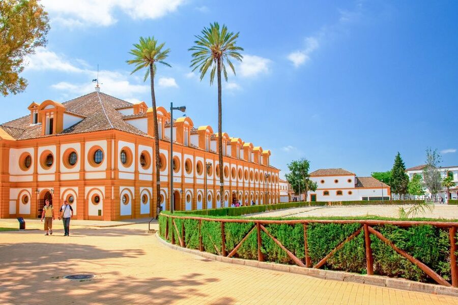 Jerez: Royal Andalusian School of Equestrian Art Admission - Watch horses and riders train in the arena