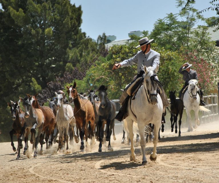 Jerez: Yeguada de la Cartuja Carthusian Horses Tour - How much time to allow