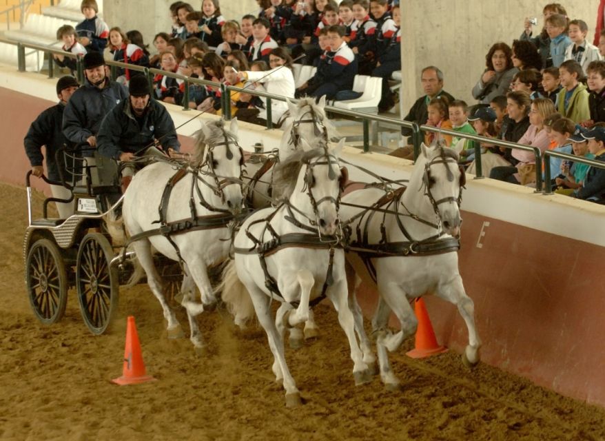 Jerez: Yeguada de la Cartuja Carthusian Horses Tour - How this compares with other Jerez horse shows