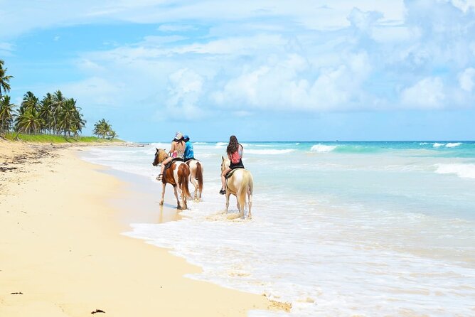 Jungle and Beach Horse Ridding round trip transportatin. - A Two-Hour Punta Cana Outing With More Than a Beach Stop