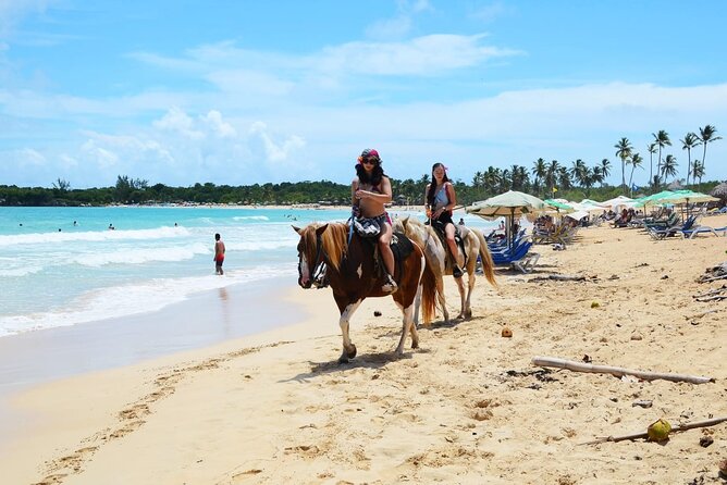 Jungle and Beach Horse Ridding round trip transportatin. - Learning to Ride Before the Horse Ride Begins