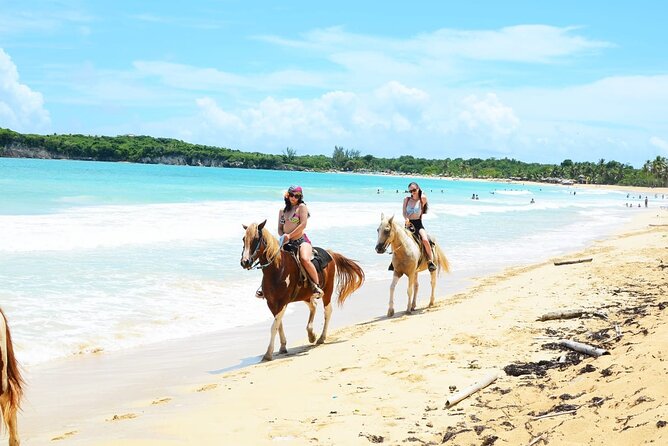 Jungle and Beach Horse Ridding round trip transportatin. - Pickup, Group Size, and Timing