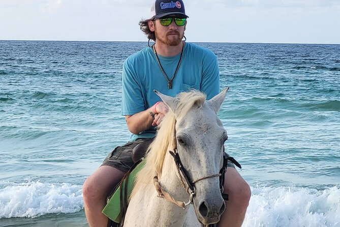 Jungle and Beach Horse Ridding round trip transportatin. - Coffee, Cacao, and Cigar Making Along the Way