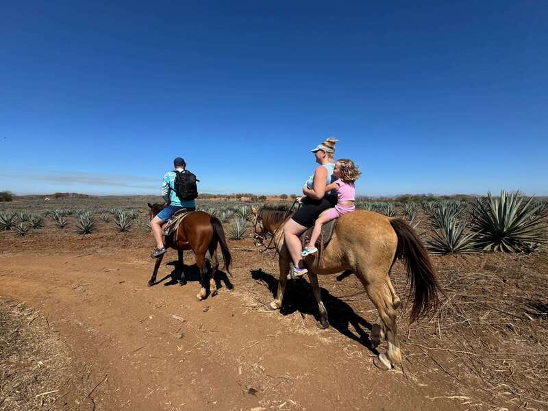 Jungle and beach horseback ride + lunch + mezcal - A ranch lunch with machaca and handmade tortillas