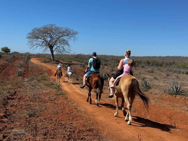 Jungle and beach horseback ride + lunch + mezcal - How the mezcal visit works