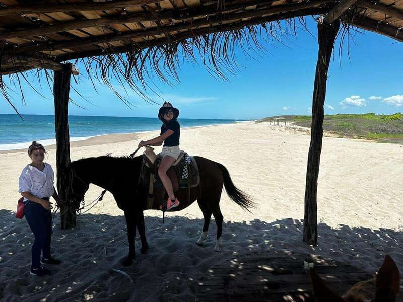 Jungle and beach horseback ride + lunch + mezcal - Who will enjoy this three-hour outing