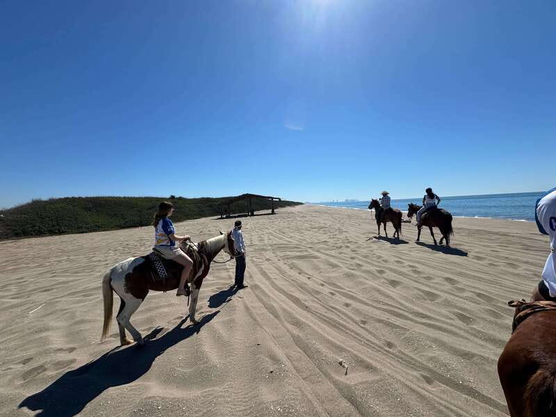 Jungle and beach horseback ride + lunch + mezcal - Ninety minutes through jungle trails and onto the beach
