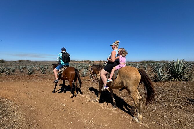 Jungle and Beach Horseback ride Tour in Pacific Coast - Key points to know before you book