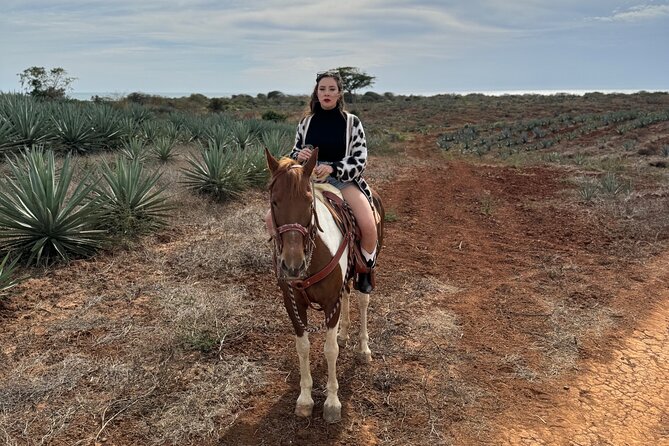 Jungle and Beach Horseback ride Tour in Pacific Coast - Mezcal made at Mr. Lionso Ranch