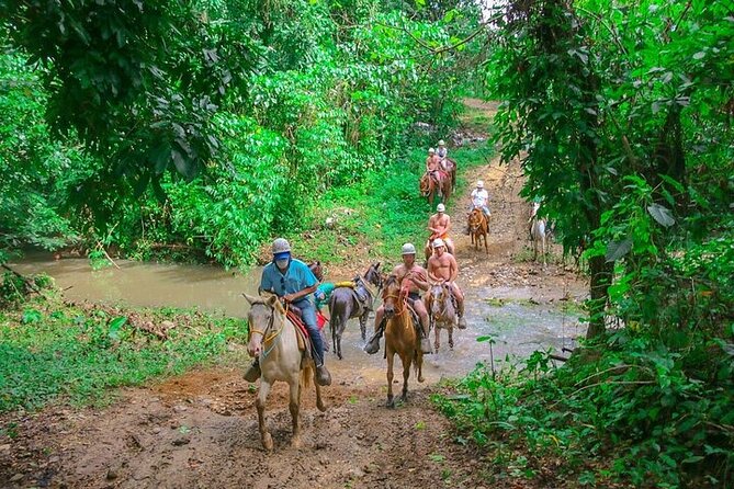 Jungle Buggies + Zilplining + Horseback Ride + Countryside + Macao Beach - Dominican lunch, fruit, soda, and water