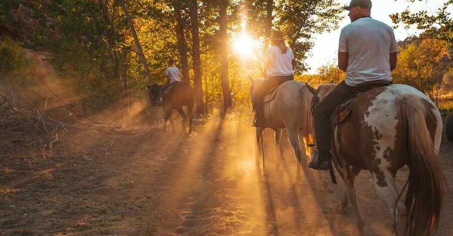 Kanab: Cave Lakes Canyon Horseback Riding Experience - My call: book it for scenery and a calm pace