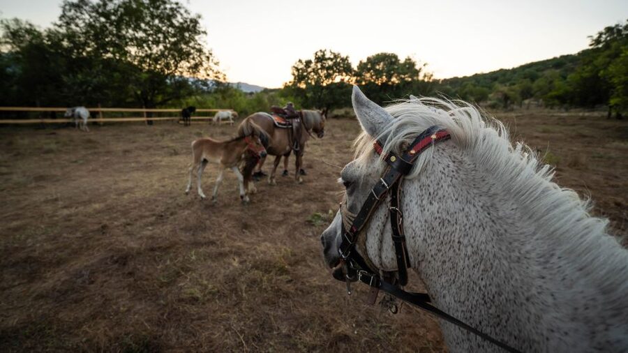 Kastraki: Meteora Sunset Horseback Riding - Key points at a glance