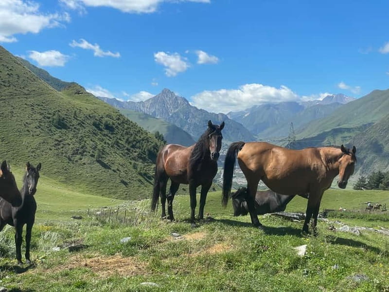 Kazbegi:Sunset Horse Riding Tour from Rooms Hotel Kazbegi - What the one-hour ride feels like