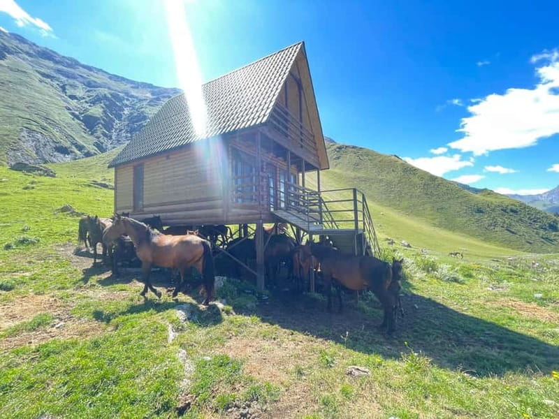 Kazbegi:Sunset Horse Riding Tour from Rooms Hotel Kazbegi - Morning ride or evening light?
