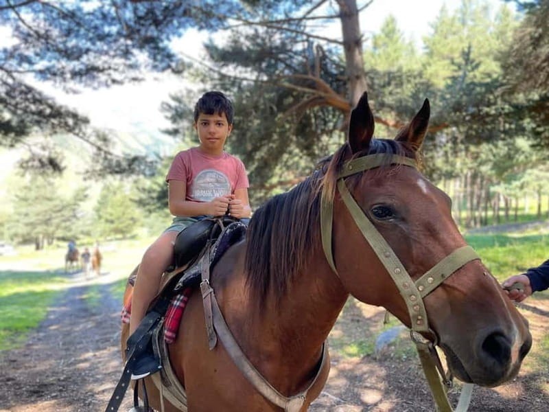 Kazbegi:Sunset Horse Riding Tour from Rooms Hotel Kazbegi - Is $39 good value?