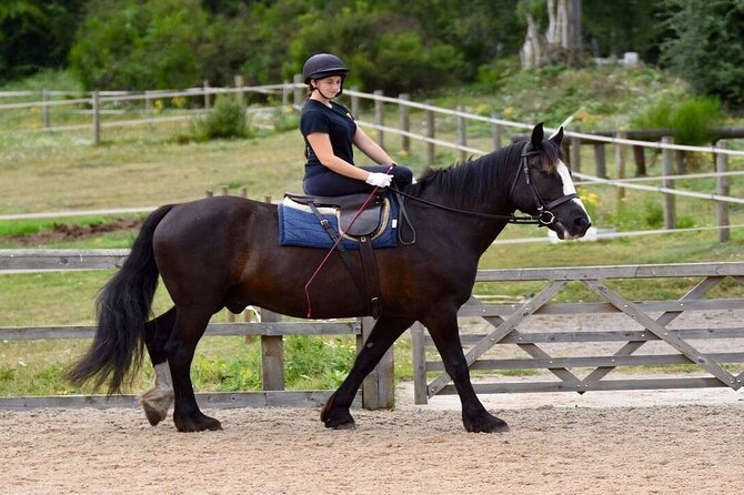 Kemer Horse Riding Experience with Transfer - A Short Ride Into Kemer’s Countryside