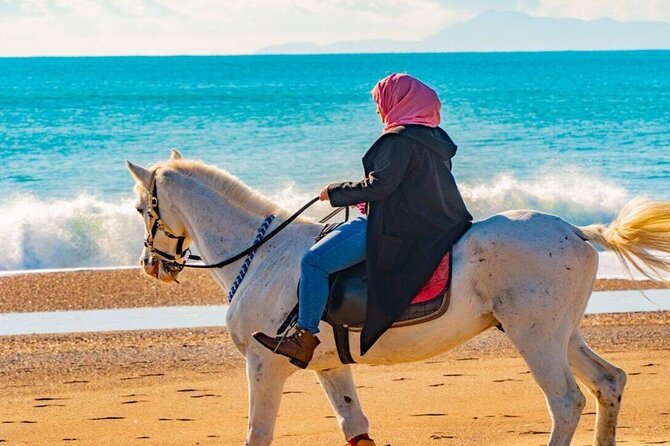 Kemer Horse Riding Experience with Transfer - Photos, Video and the Value of the $39 Price