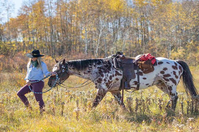 Kemer Horse Riding Experience with Transfer - Who Will Enjoy This Kemer Ride Most