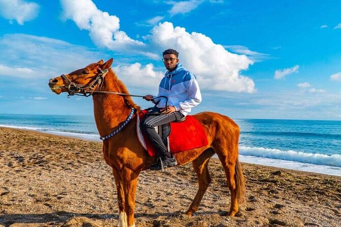 Kemer Horse Riding Experience with Transfer - Booking and Cancellation Details to Keep in Mind