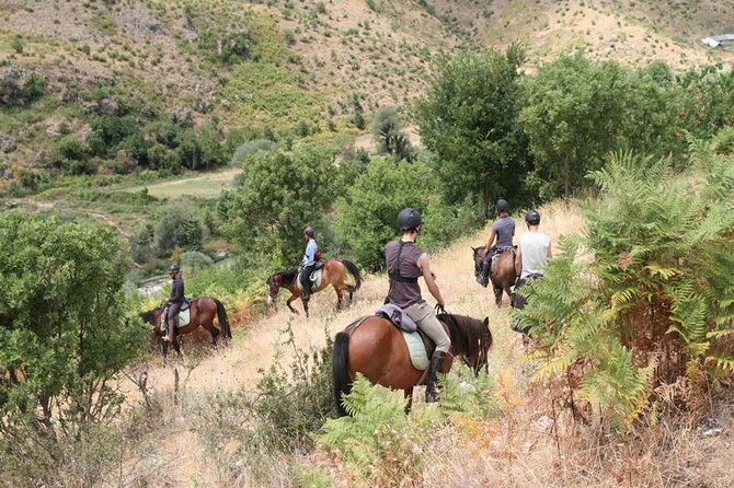 Kemer Horse Safari Experience With Free Hotel Transfer - One Hour in the Saddle