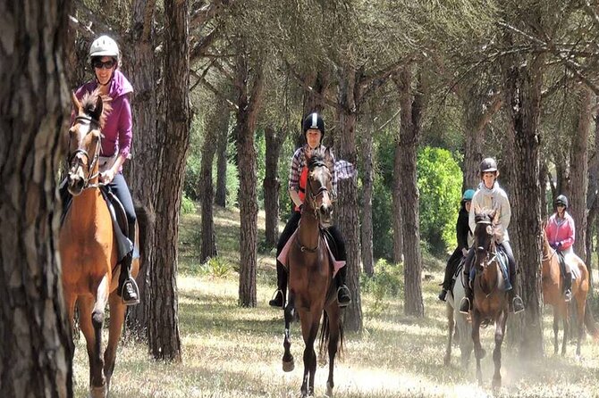 Kemer Horse Safari Experience With Free Hotel Transfer - What You Can and Cannot Bring on the Ride