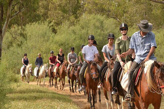 Kemer Horse Safari Experience With Free Hotel Transfer - Is the $60 Price Good Value?