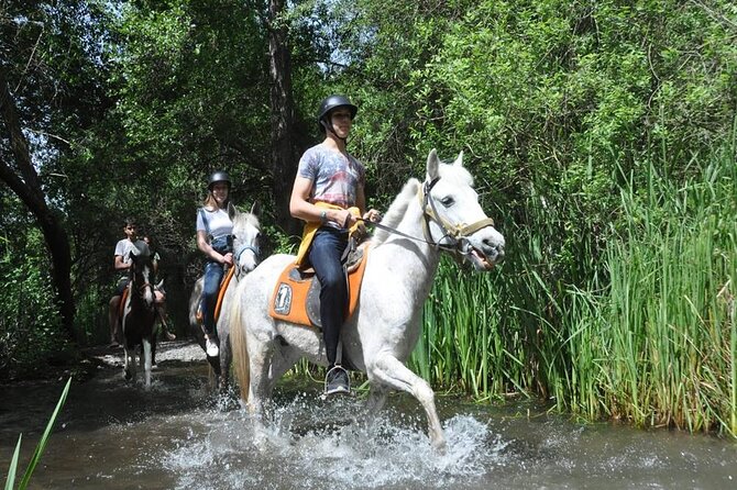 Kemer Horse Safari Experience With Free Hotel Transfer - Who Will Enjoy This Horse Safari?