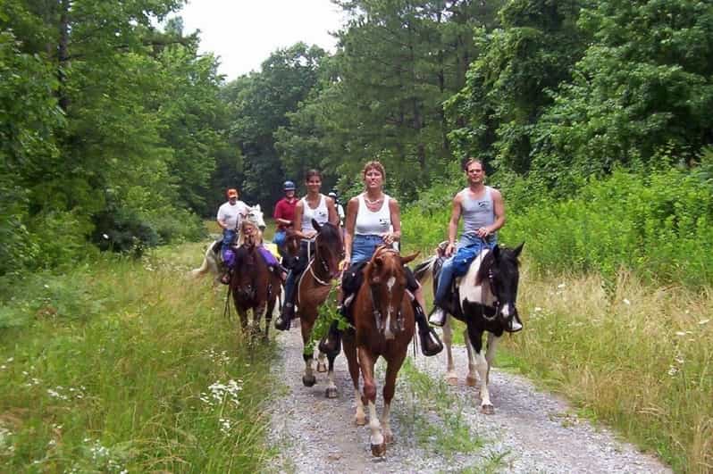 Kemer Horse Safari, pick up from Kiris, Beldibi, Goynuk - What happens from pickup to saddle