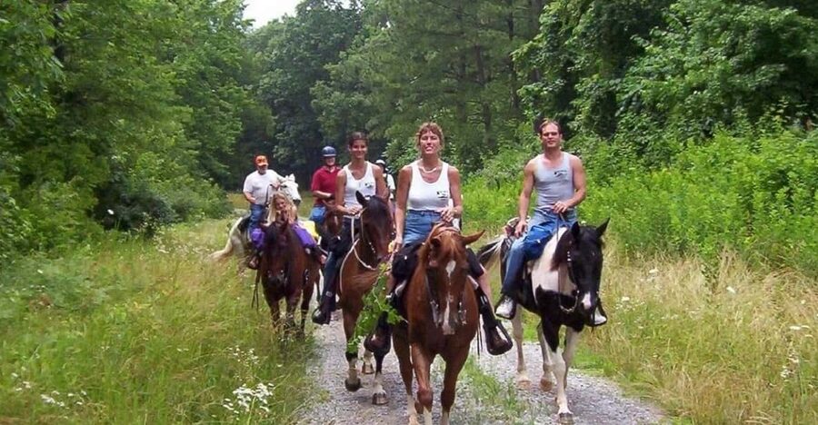 Kemer Horse Safari, pick up from Kiris, Beldibi, Goynuk - Languages, timing, and cancellation