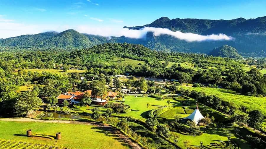 Khao Yai Vineyard Tasting Tour & Horse Farm Visit - Key points to know