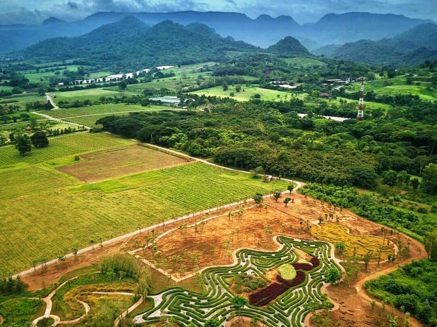 Khao Yai Vineyard Tasting Tour & Horse Farm Visit - The ride from Bangkok to PB Valley