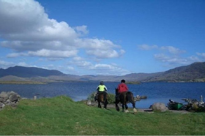 Killarney National Park Horseback Ride. Co Kerry. Guided. 1 hour. - Who should book this ride?