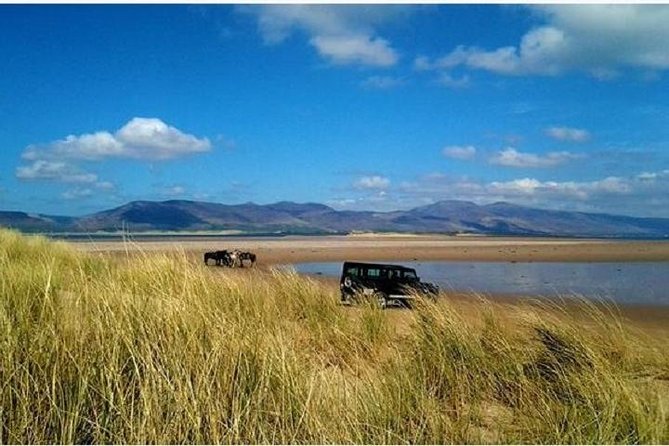 Killarney National Park Horseback Ride. Co Kerry. Guided. 2 hours. - What two hours feels like in the saddle